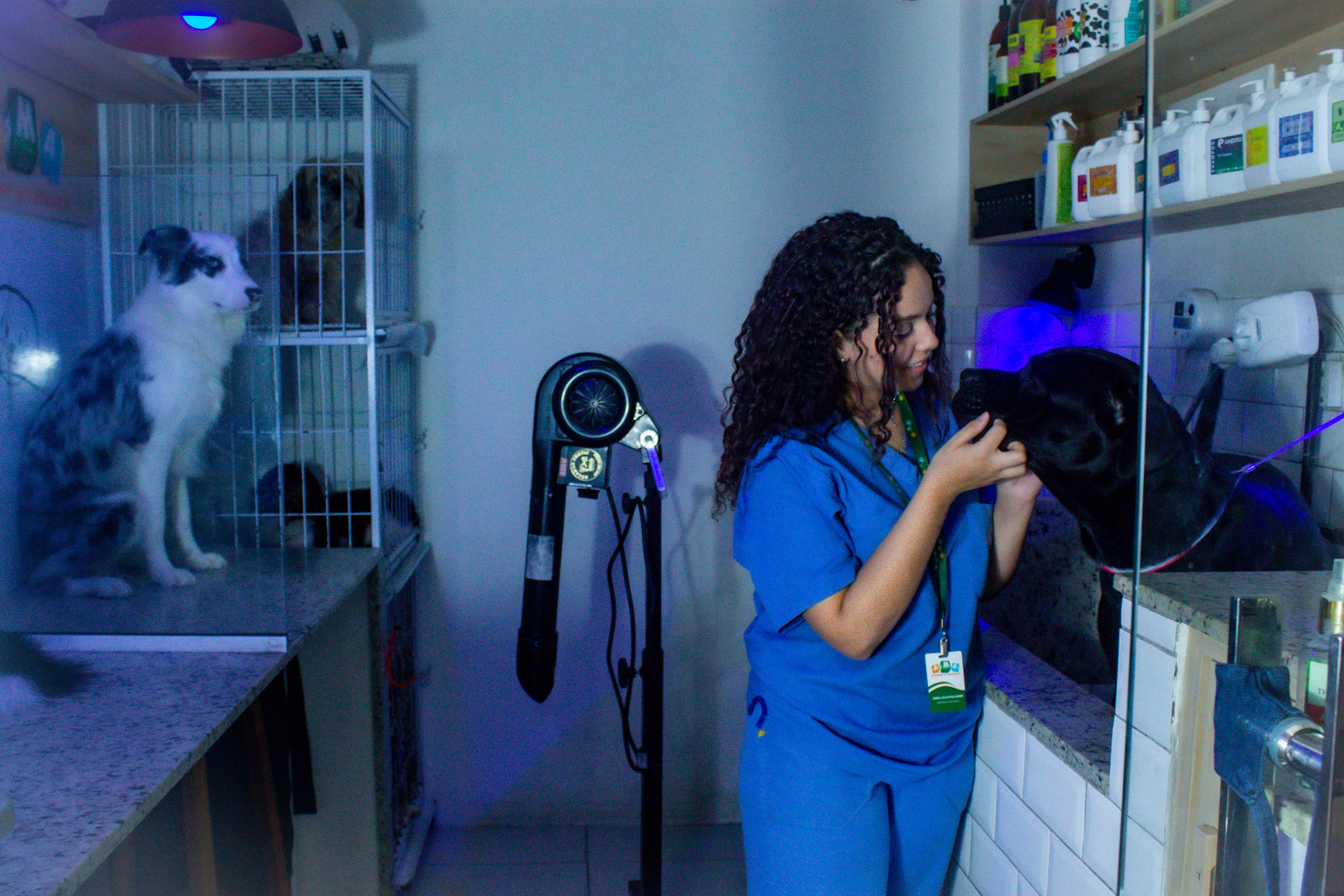 Foto da Galeria